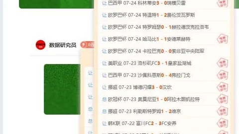 南美杯解析独家赛事攻略，比分与胜负分析全解析